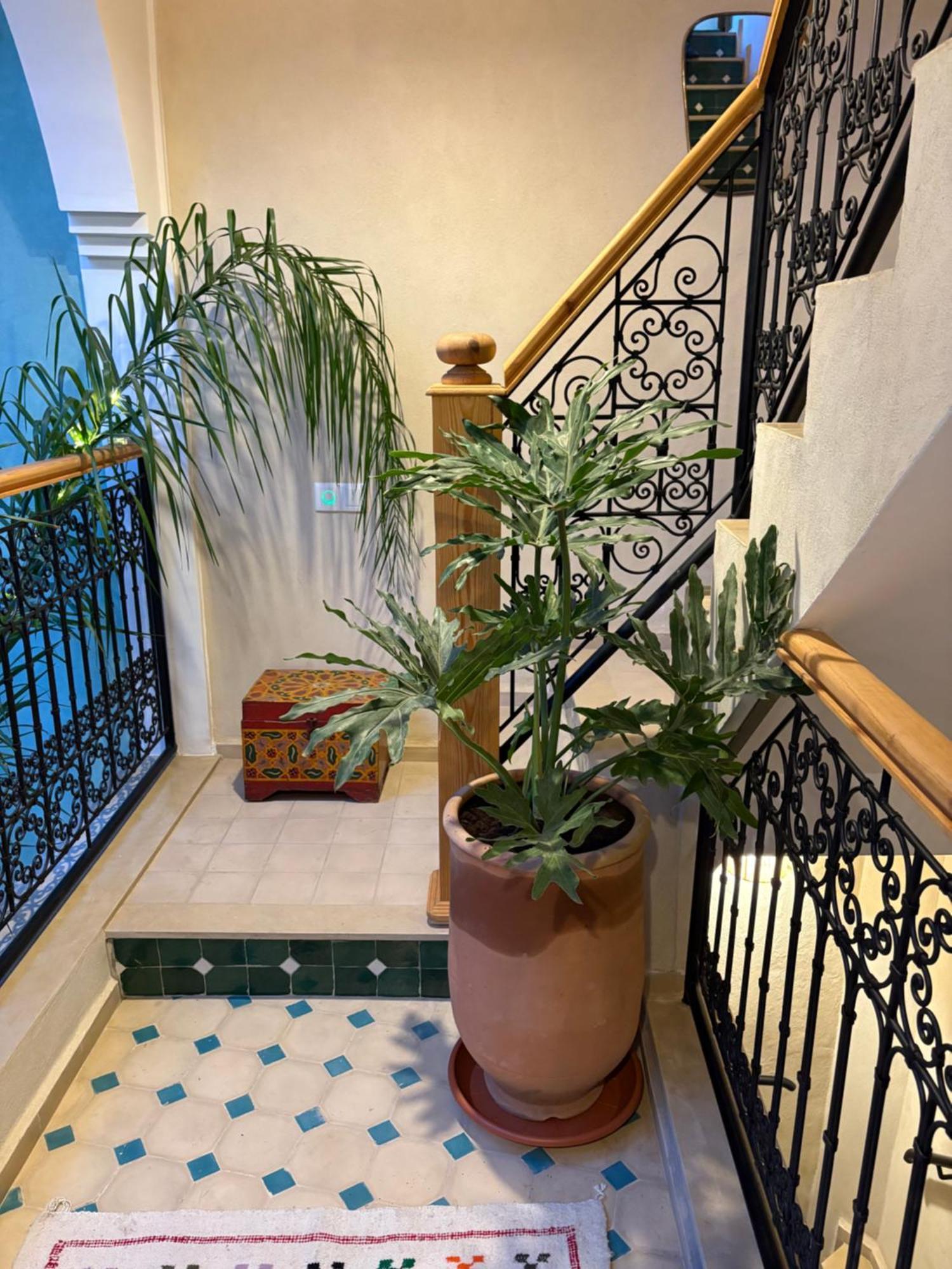 מרקש Riad212 Private Medina Fast Wi-Fi Plunge Pool מראה חיצוני תמונה